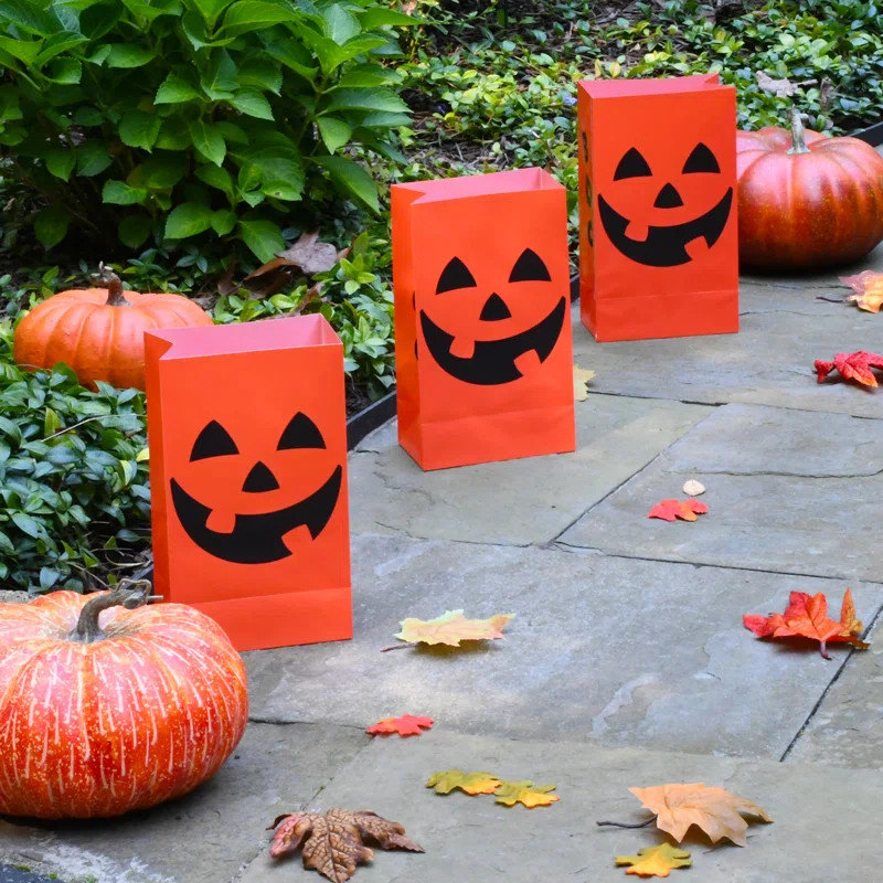 Holiday Lighting | Wayfair North America