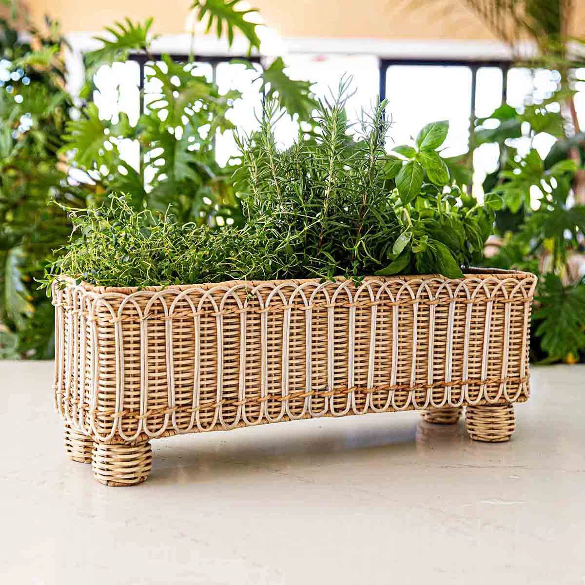 Provence Rattan Rectangular Planter - Whitewash | Wayfair North America
