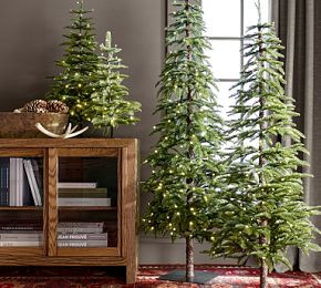 Lit Faux Pine Trees | Pottery Barn CA