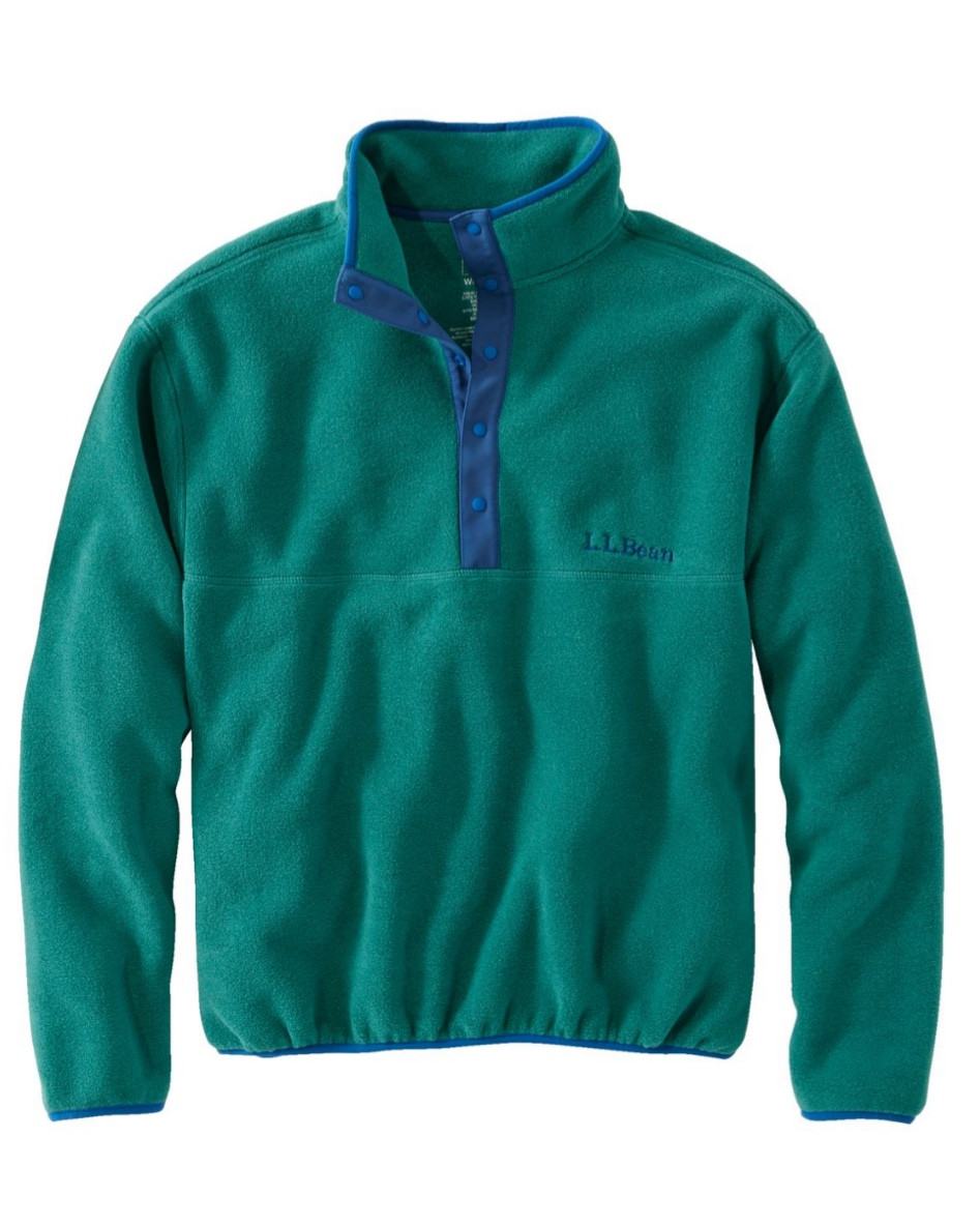 A classic LLBean fleece pulllver

#LTKmens #LTKsalealert #LTKSeasonal