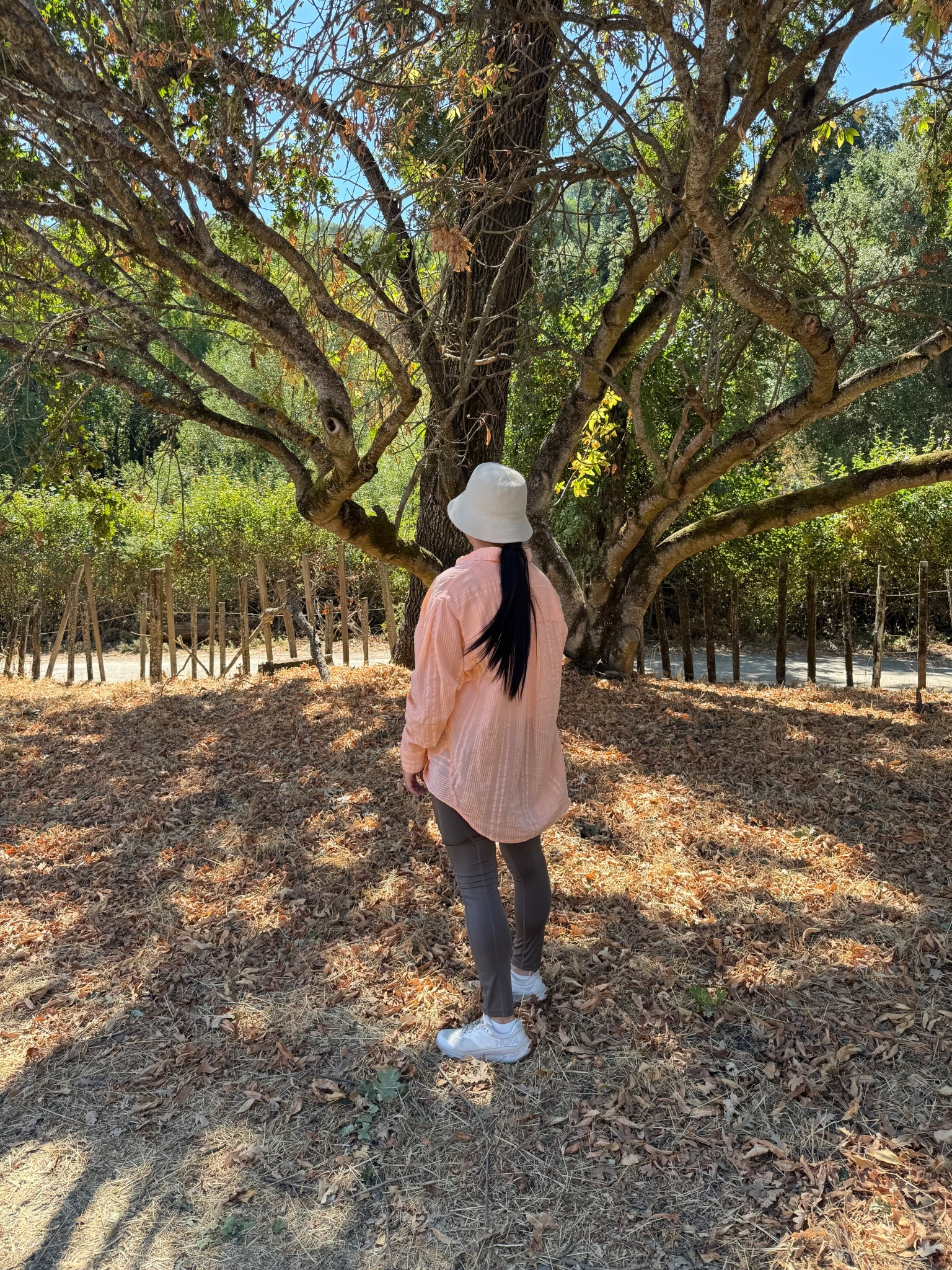 Hiking Outfit OOTD

HOKA Transport
Gymshark leggings with pocket
Uniqlo Bucket Hat (sold out)
Aerie Button Down Shirt 

#LTKfitnessgoals #LTKTravel #LTKootd