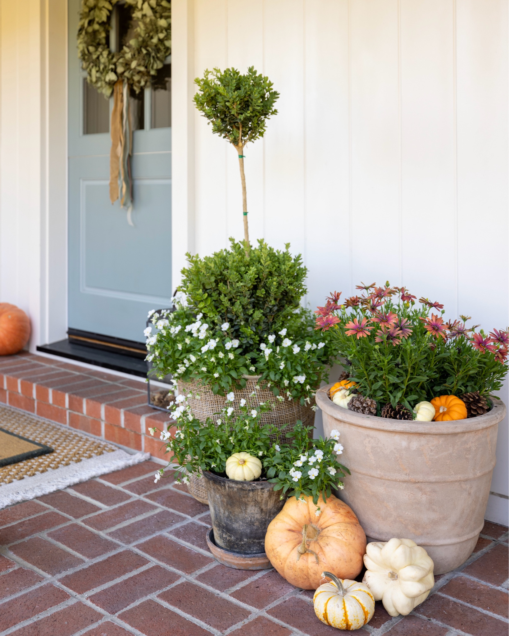It’s fall, fill your planters! 🍂