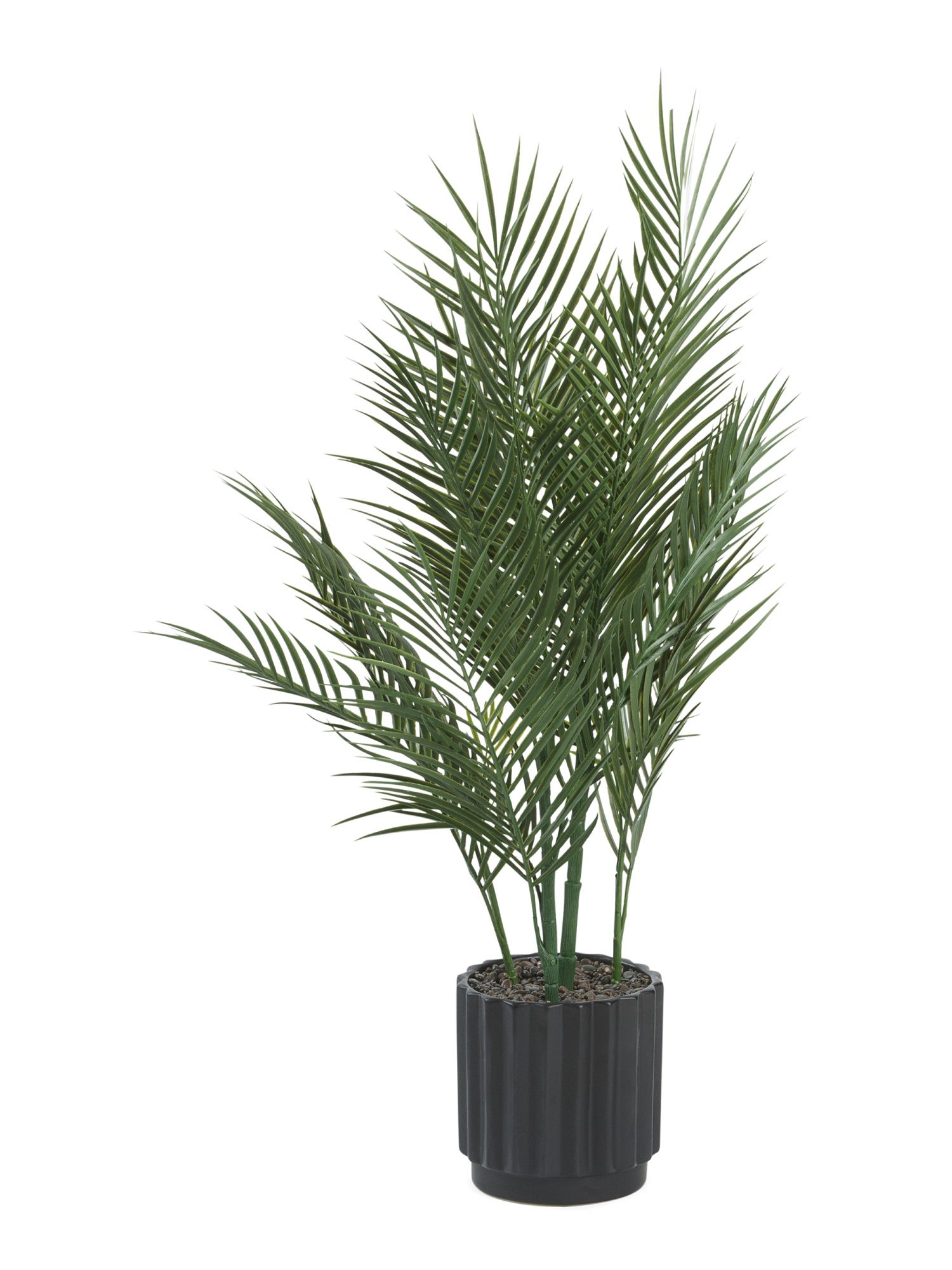 Extra Large Areca Palm In Wedge Pot | TJ Maxx