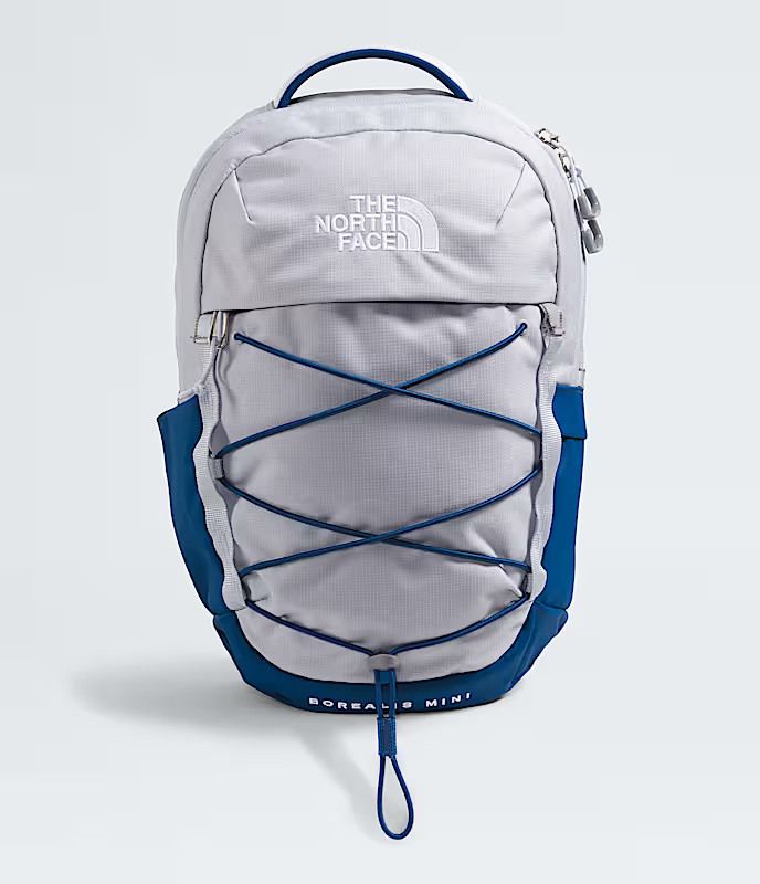 Borealis Mini Backpack | The North Face (US)
