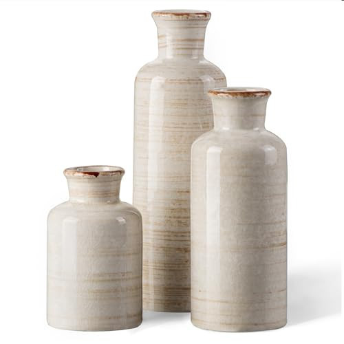 CwlwGO- Ceramic Rustic vase 3 Piece Set,Small vase for Country Home Decoration,Modern Farmhouse,Living Room Decoration, Table Decoration, Bookcase, Fireplace and Entrance Decoration。(White) | Amazon (US)