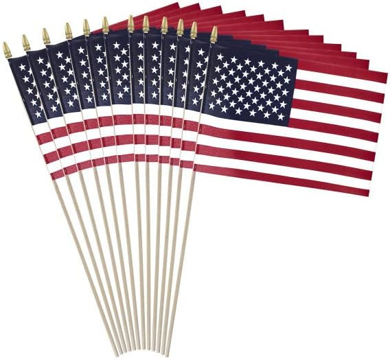 GIFTEXPRESS 12-Pack, Proudly MADE IN U.S.A. 8x12 Inch Spearhead Handheld American Stick Flags/Gra... | Amazon (US)