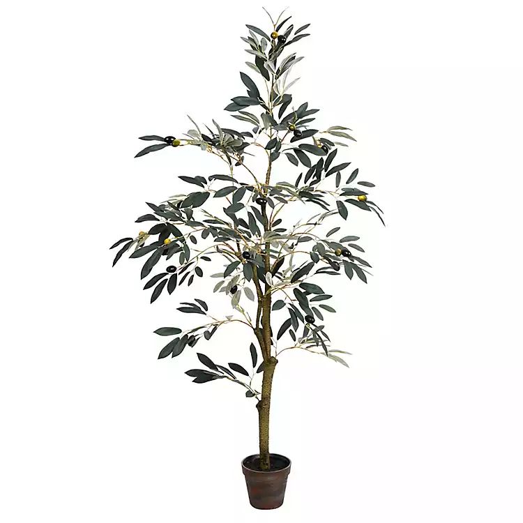 Potted Olive Tree, 4 ft. | Kirkland's Home