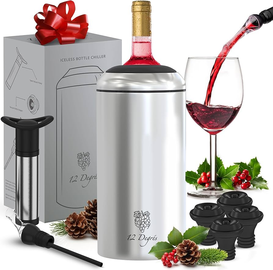 Wine Chiller Set - Perfect Wine Gifts for Women & Men - Stainless Steel Insulated Wine Cooler wit... | Amazon (US)