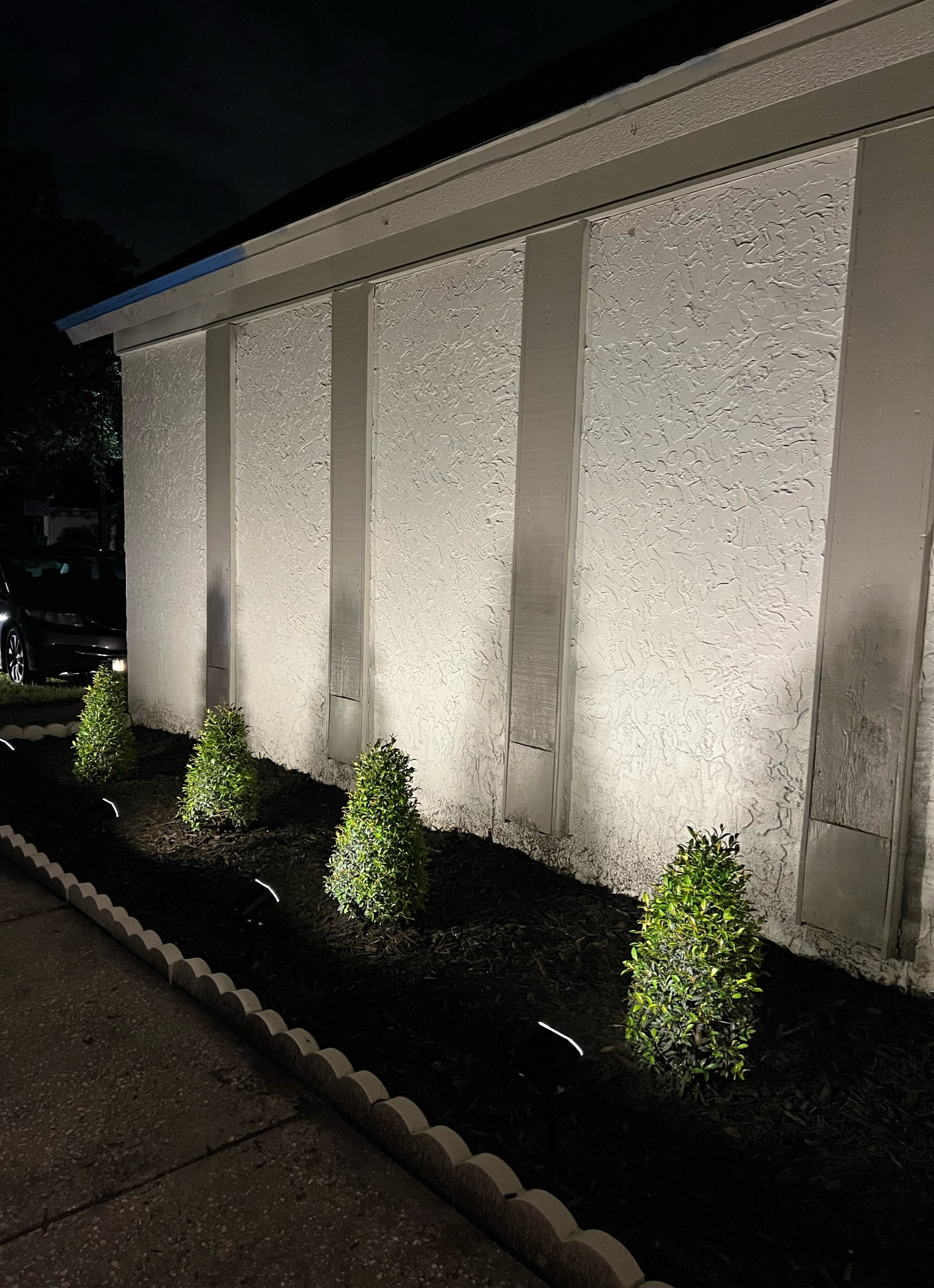 Our front yard lights 🔆 they’re solar powered so you don’t have to worry about any cables and the light they give off is amazing! It has 3 brightness settings. We got the lights in warm white 

#LTKHome #LTKFindsUnder50