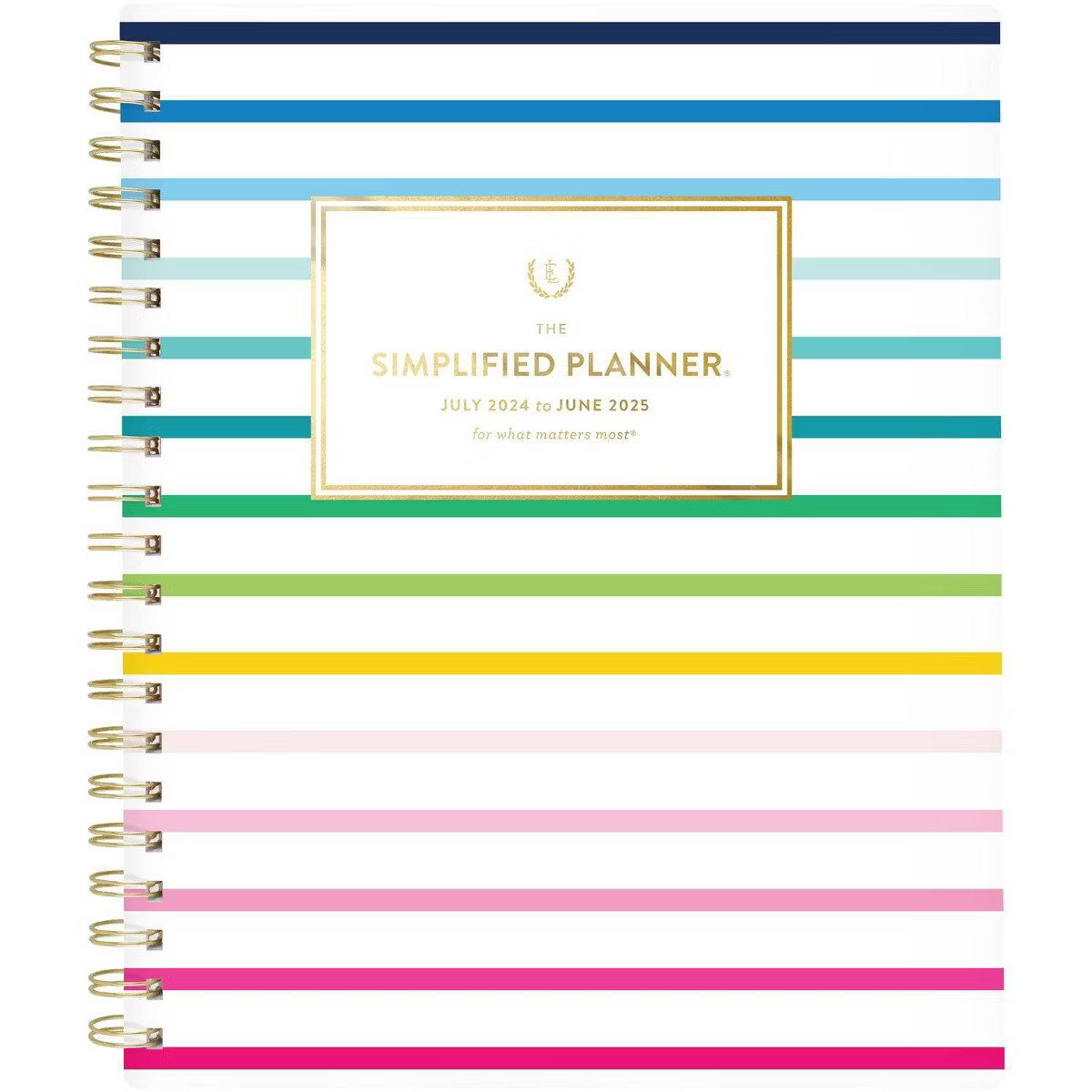 Emily Ley for At-A-Glance 2024-25 Weekly/Monthly Planner 11"x9.25" Happy Stripe | Target