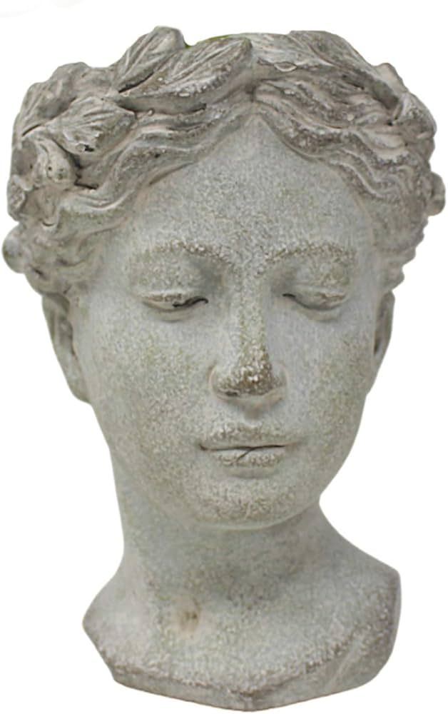 Trinity Church Supply Concrete Grecian Goddess Head Succelent Planter with Distressed Finish Clas... | Amazon (US)