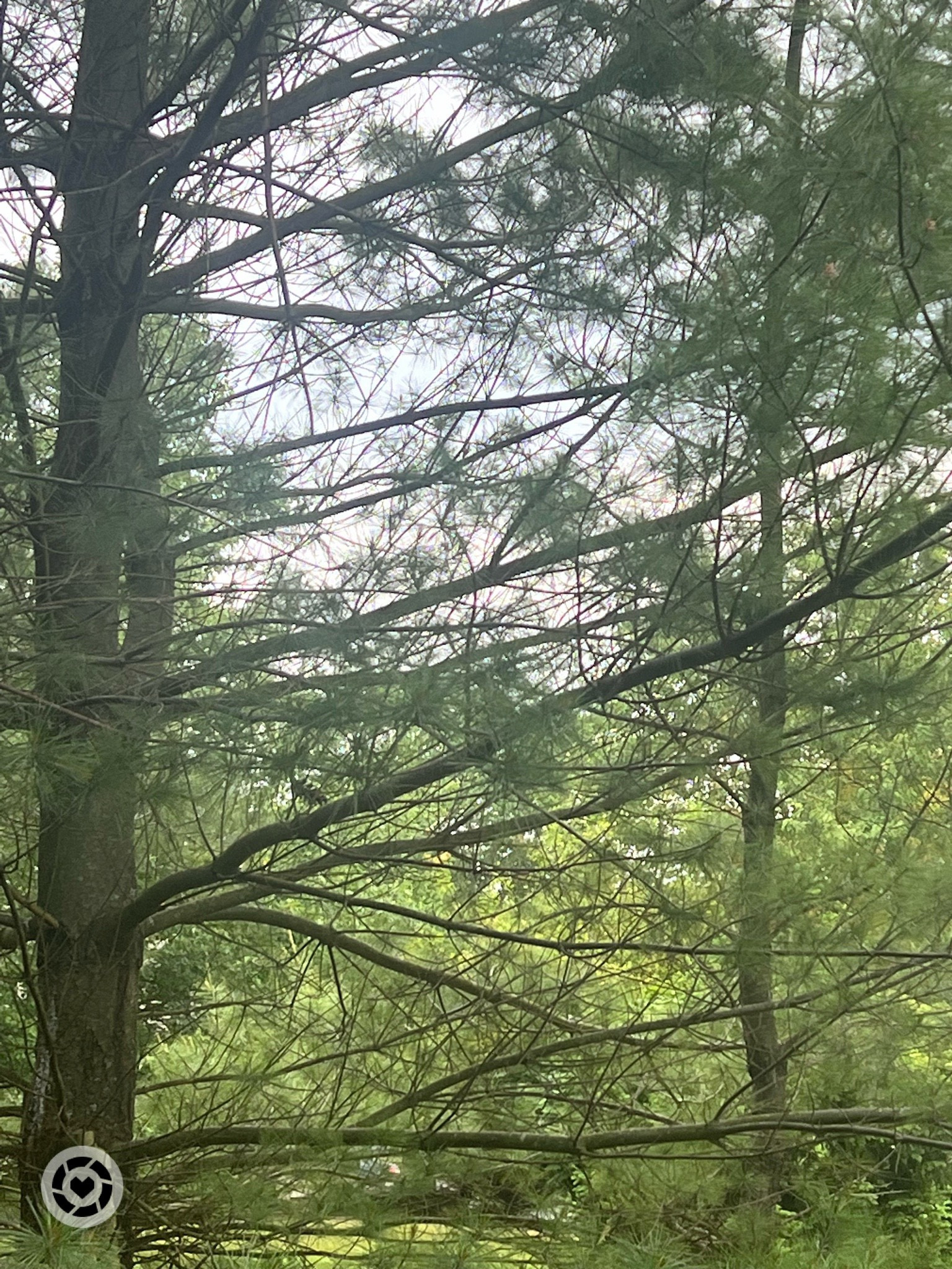 #LTKSeasonal #LTKFind