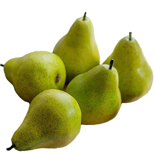 Lovmeety 5Pcs Fake Pears Artificial Pear Fruits Lifelike Faux Green Pear Fake Fruits Decorative Simulation Pears Fruits for Kitchen Party Home Table Centerpieces Sketch Photography Prop Decor | Amazon (US)