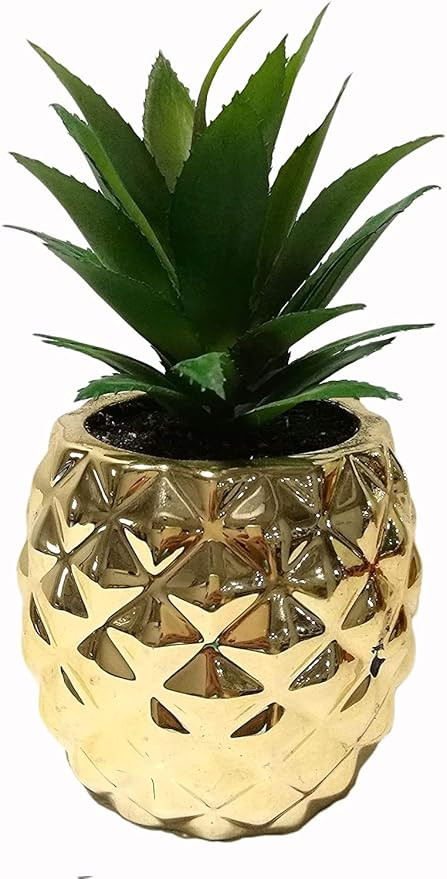 Brccee AC 7" Height Golden Pineapple Plant Artificial Potted Succulent Plants Set, Faux Succulent... | Amazon (US)