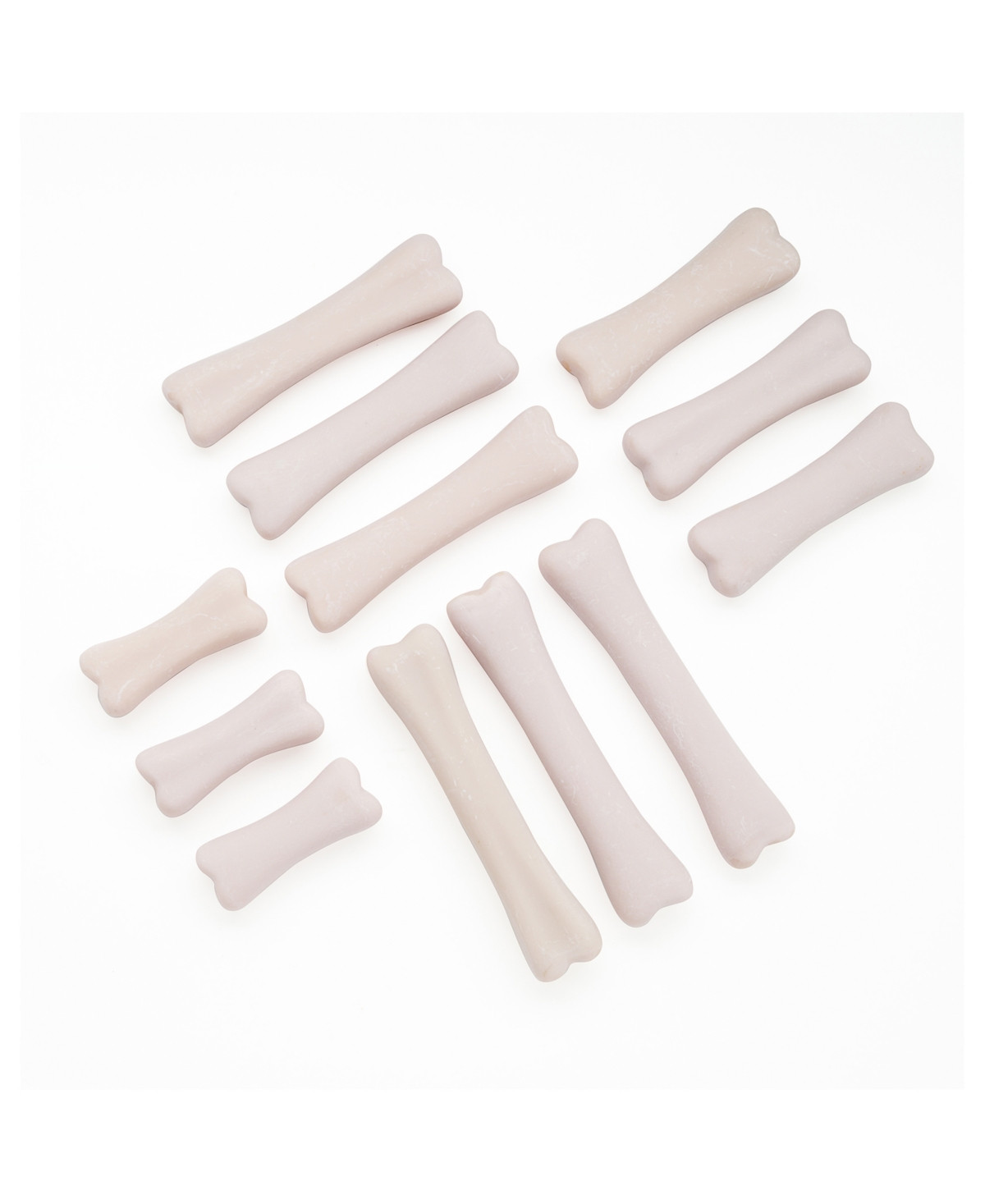 Yellow Door Dinosaur Bones Discovery, Set of 12 - White | Macy's