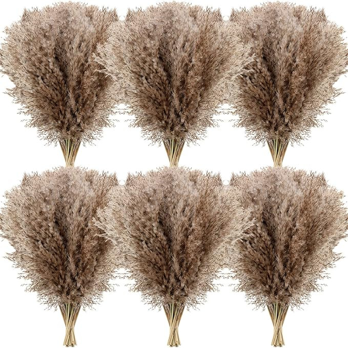 Janinka Dried Pampas Grass Decor 17 Inch Bulk Natural Small Pompous Wild Fluffy Pampas Floral Boh... | Amazon (US)