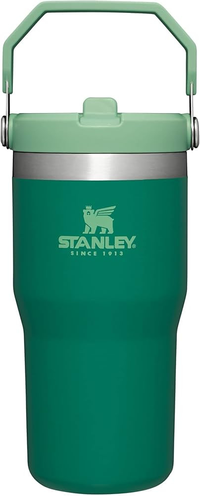 STANLEY IceFlow Stainless Steel Tumbler with Straw, Vacuum Insulated Water Bottle for Home, Offic... | Amazon (US)