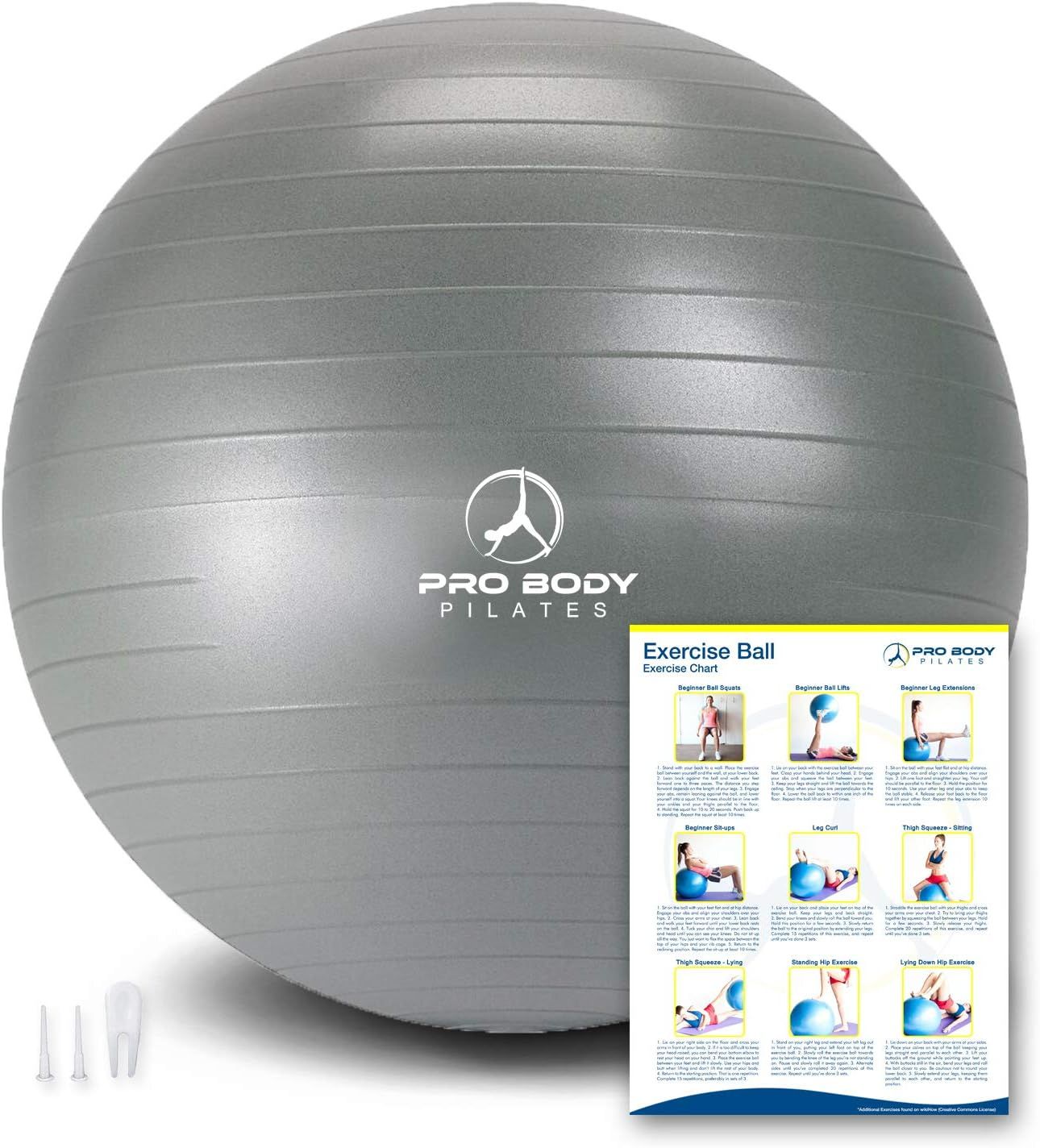 ProBody Pilates Exercise Ball - Professional Grade Anti-Burst Fitness, Balance Ball for Pilates, ... | Amazon (US)