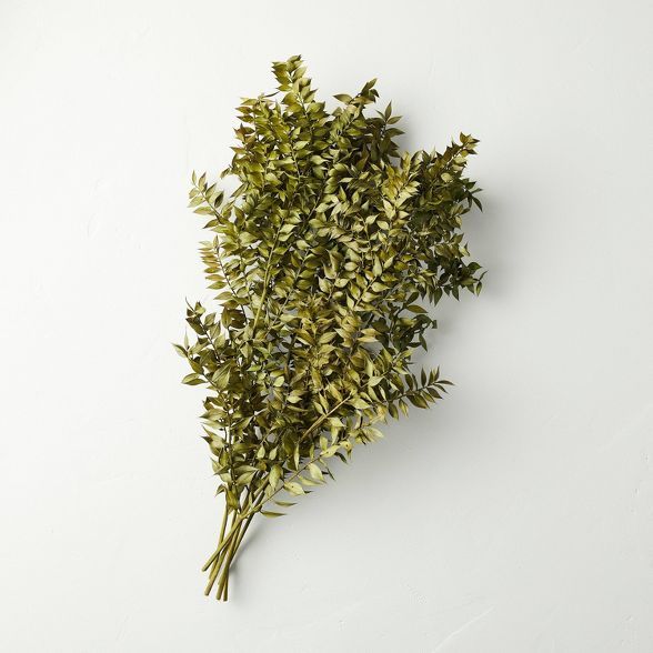 Preserved Green Ruscus Leaves Bundle - Hearth &#38; Hand&#8482; with Magnolia | Target