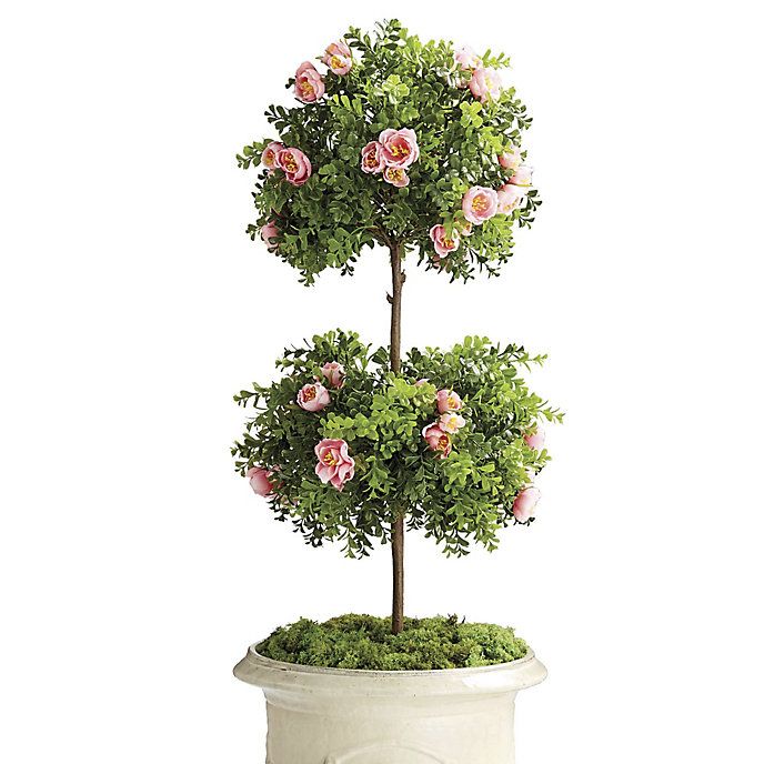 Rose Boxwood Doube Ball Topiary | Frontgate