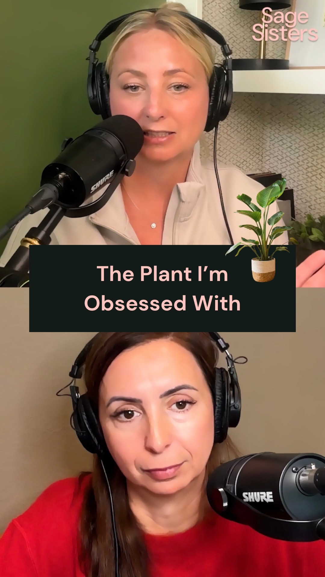 If you’ve been wanting a plant that looks expensive but is actually low maintenance… this is your sign ✨ I did get a real one and they also have these inexpensive fake ones. Check out your local plant nursery! 

Tune in to Sage Sisters Podcast every Tuesday and watch clips on YouTube.

#LTKmomlife #LTKHome #LTKselfcare