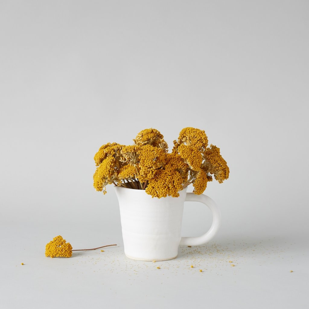 Dried Natural Yarrow | Bloomist