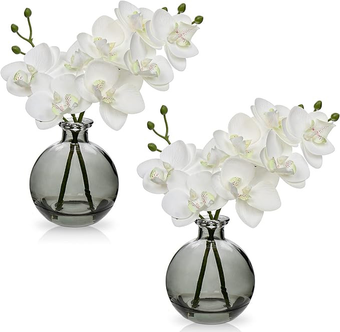 White Orchids Artificial Flowers Faux Orchid Arrangement with Black Glass Vase Set of 2 Real Touc... | Amazon (US)