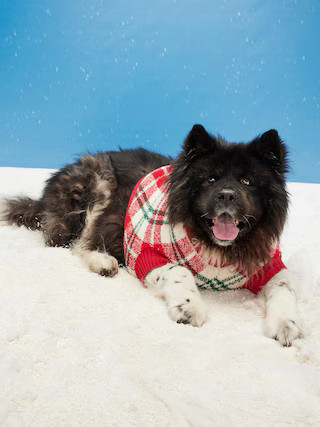 Cozy Printed Sweater for Pets | Old Navy (US)