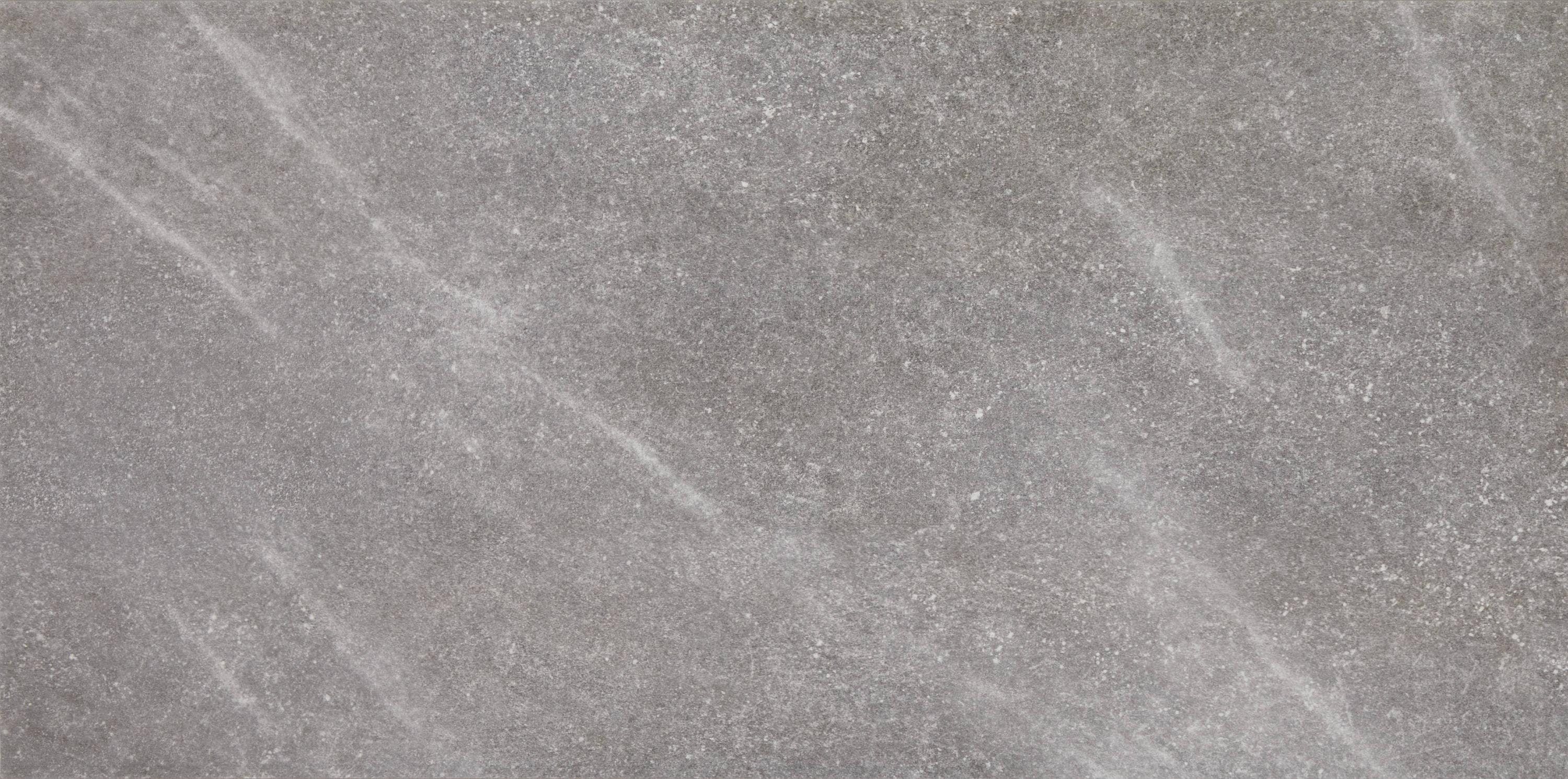 STAINMASTER Harbor Gray 12-in x 24-in Matte Porcelain Stone Look Floor and Wall Tile (1.95-sq. ft... | Lowe's