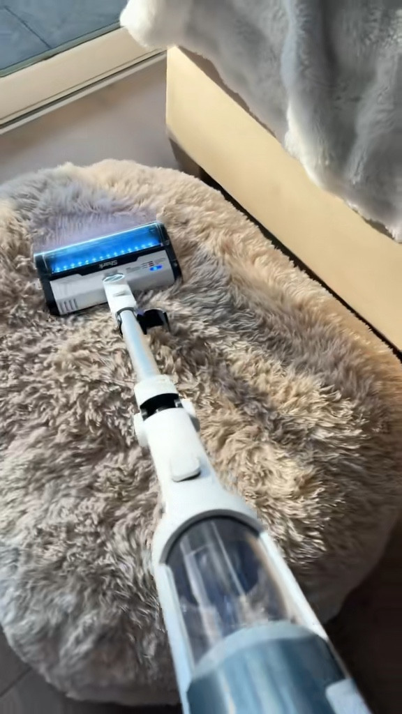 This is the kind of upgrade that makes everyday cleaning feel effortless. The Shark Clean & Empty Cordless Stick Vacuum with Auto Empty Base handles crumbs, pet hair, and high-traffic messes in one pass — then automatically empties into the base when you dock it, so you’re not dealing with dust clouds after. It’s slim, cordless, easy to grab for quick resets, and honestly one of those appliances that earns its spot in your kitchen or laundry room.

#LTKhome #HomeUpgrade #EverydayLiving
