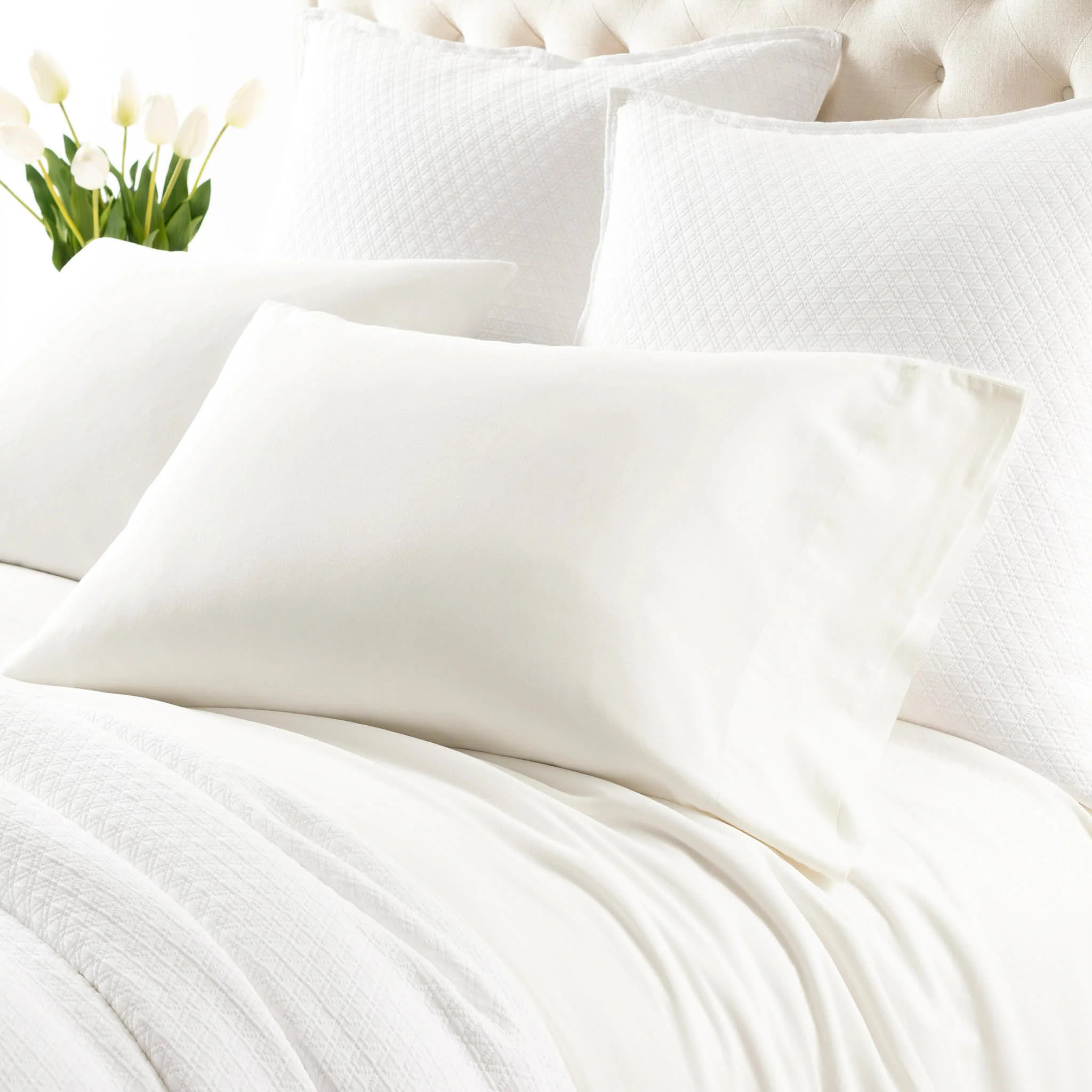 Ivory Cozy Cotton Pillowcases Standard | Rugs USA