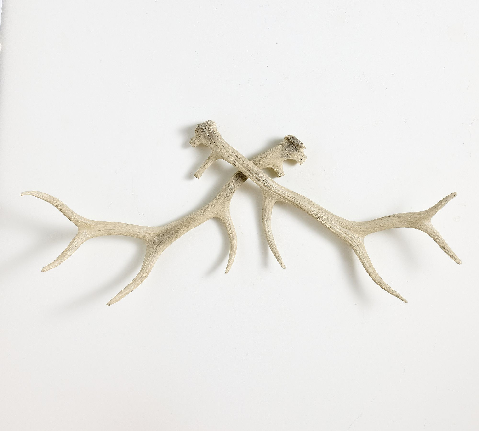 Faux Antler Dimensional Wall Art | Pottery Barn (US)