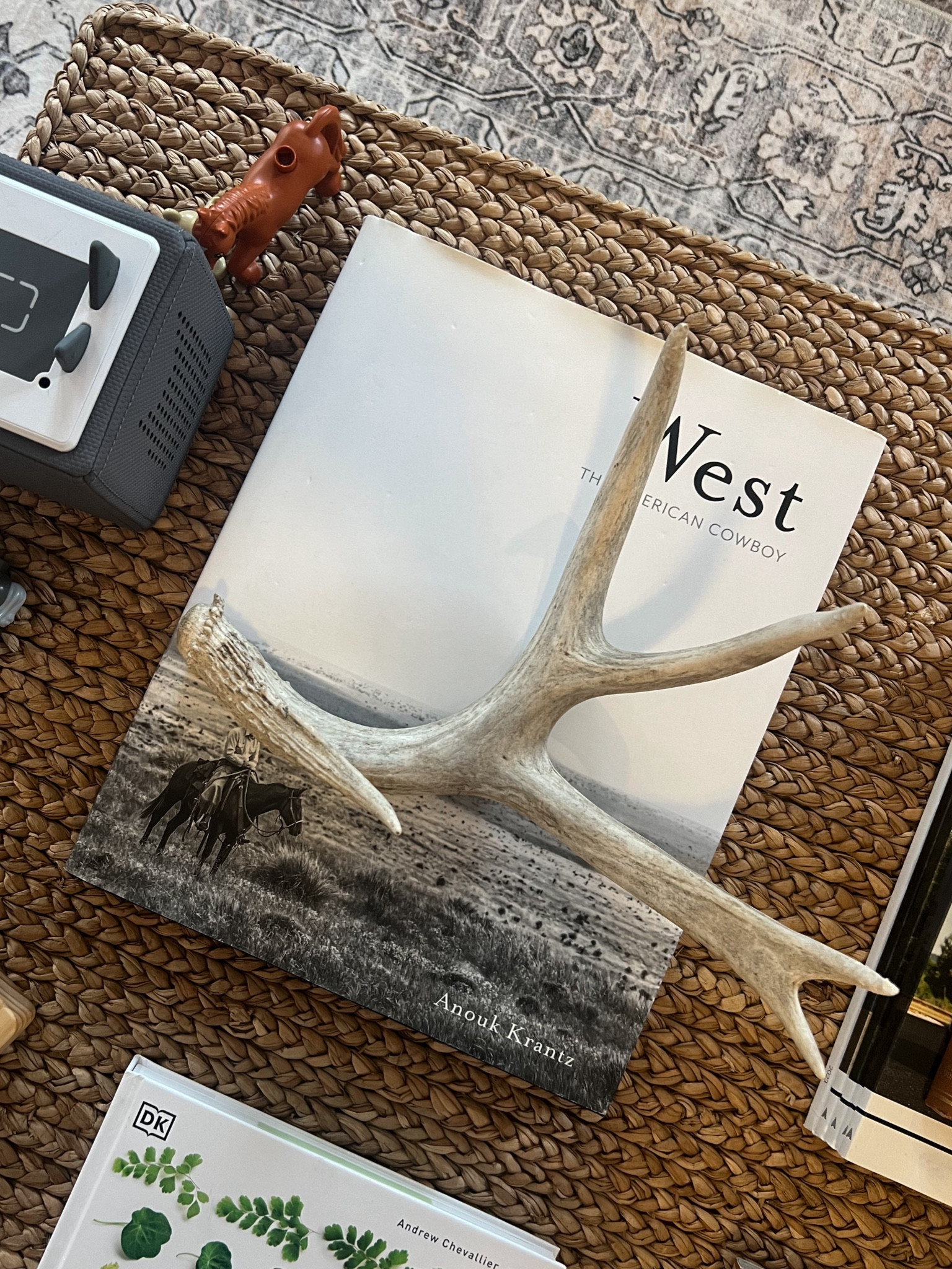 One of our favorite coffee table books is on sale today!! Linking a few other coffee table favorites as well 📚 

#LTKHome #LTKFindsUnder100 #LTKSaleAlert