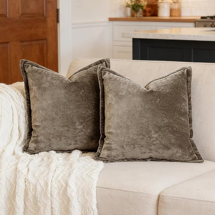Luxurious Velvet Euro Shams Decorative Throw Pillow Covers 26x26 Set of 2 Solid Square Euro Pillo... | Amazon (US)
