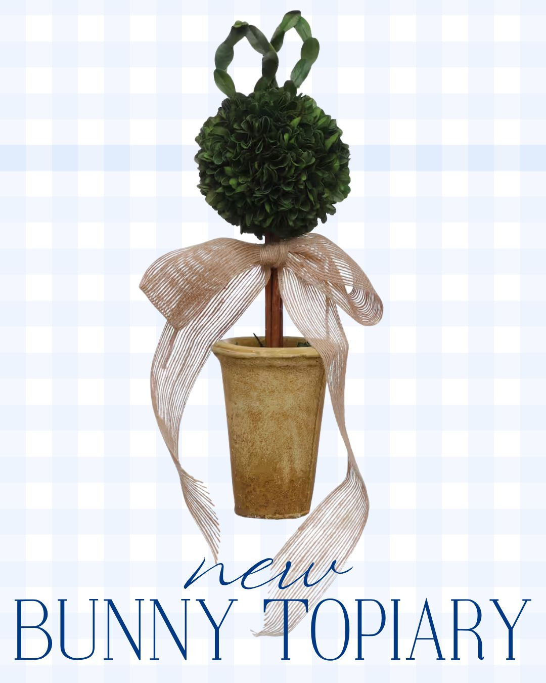 New bunny topiary! 

 #LTKSeasonal #LTKHome