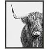 Kate and Laurel Sylvie Highland Cow Black and White Portrait Framed Canvas by Amy Peterson, 18x24... | Amazon (US)