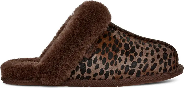 Scuffette Genuine Calf Hair Slipper (Women) | Nordstrom