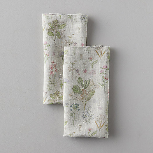 Lithuanian Linen Napkin Set of 2, Botany Floral | Terrain