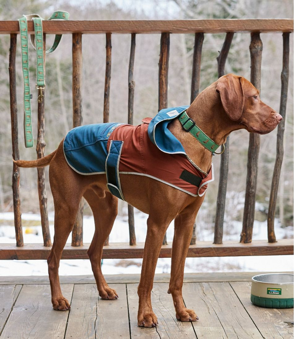 Mountain Classic Dog Anorak, Colorblock | L.L. Bean