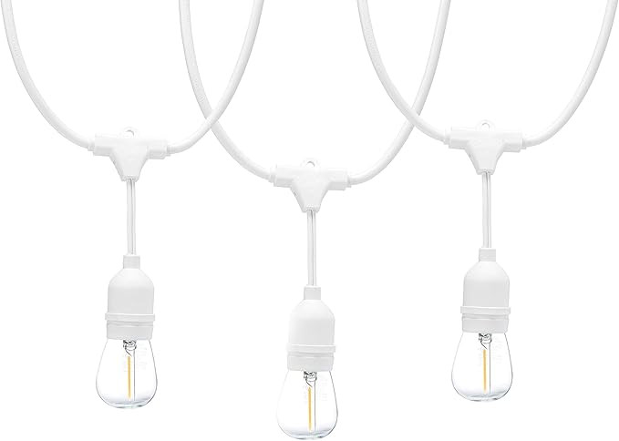 Amazon Basics 48-Foot LED Commercial Grade Outdoor String Lights with 16 Edison Style S14 LED Sof... | Amazon (US)