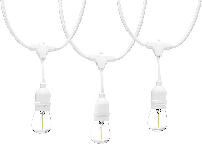 Amazon Basics 48-Foot LED Commercial Grade Outdoor String Lights with 16 Edison Style S14 LED Sof... | Amazon (US)