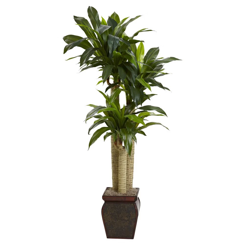 Nearly Natural 4.5' Cornstalk Dracaena Silk Plant with Vase (Real Touch), Green | Target