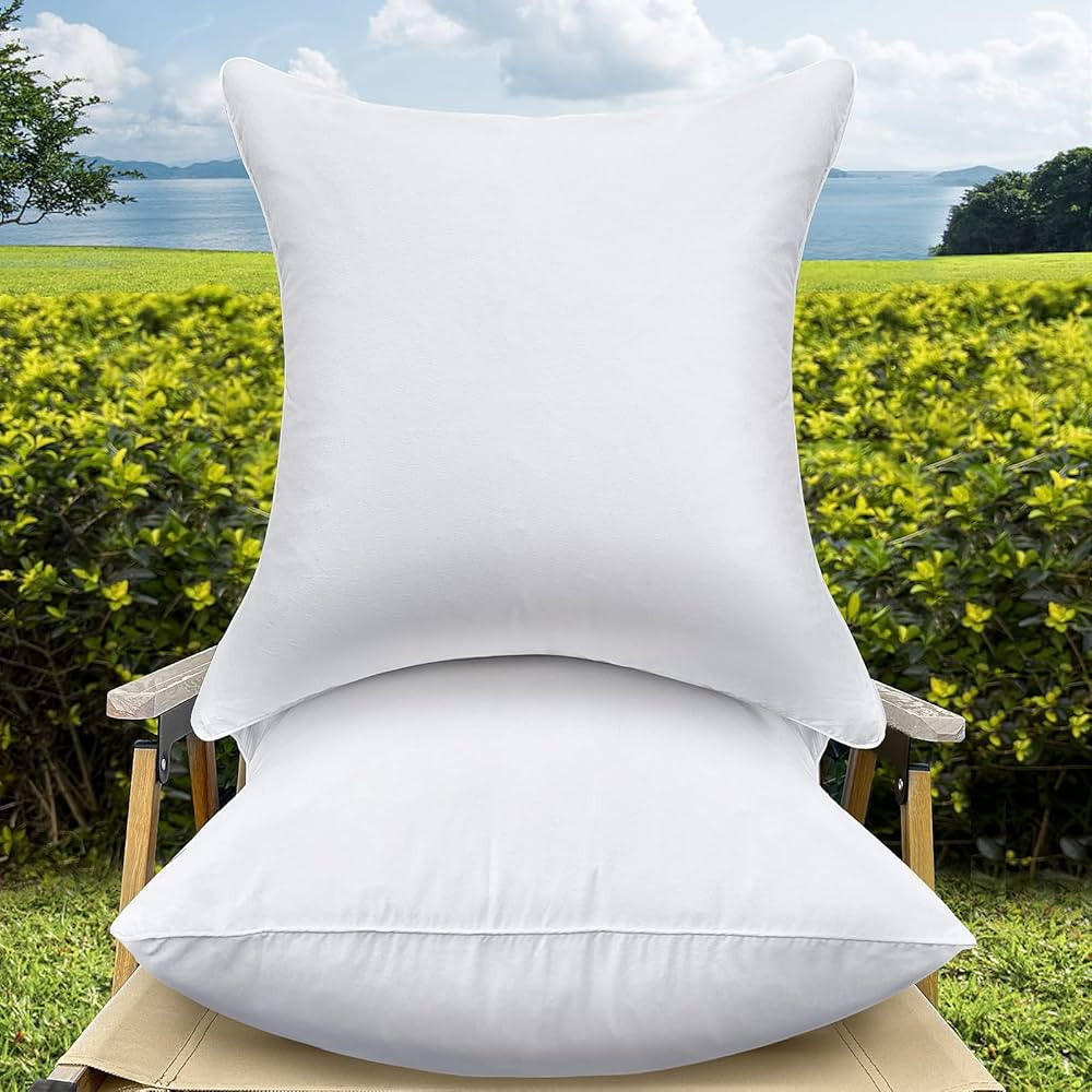 20 x 20 Outdoor Throw Pillow Inserts Set of 2 Waterproof Square Premium Decorative Couch Pillow S... | Amazon (US)