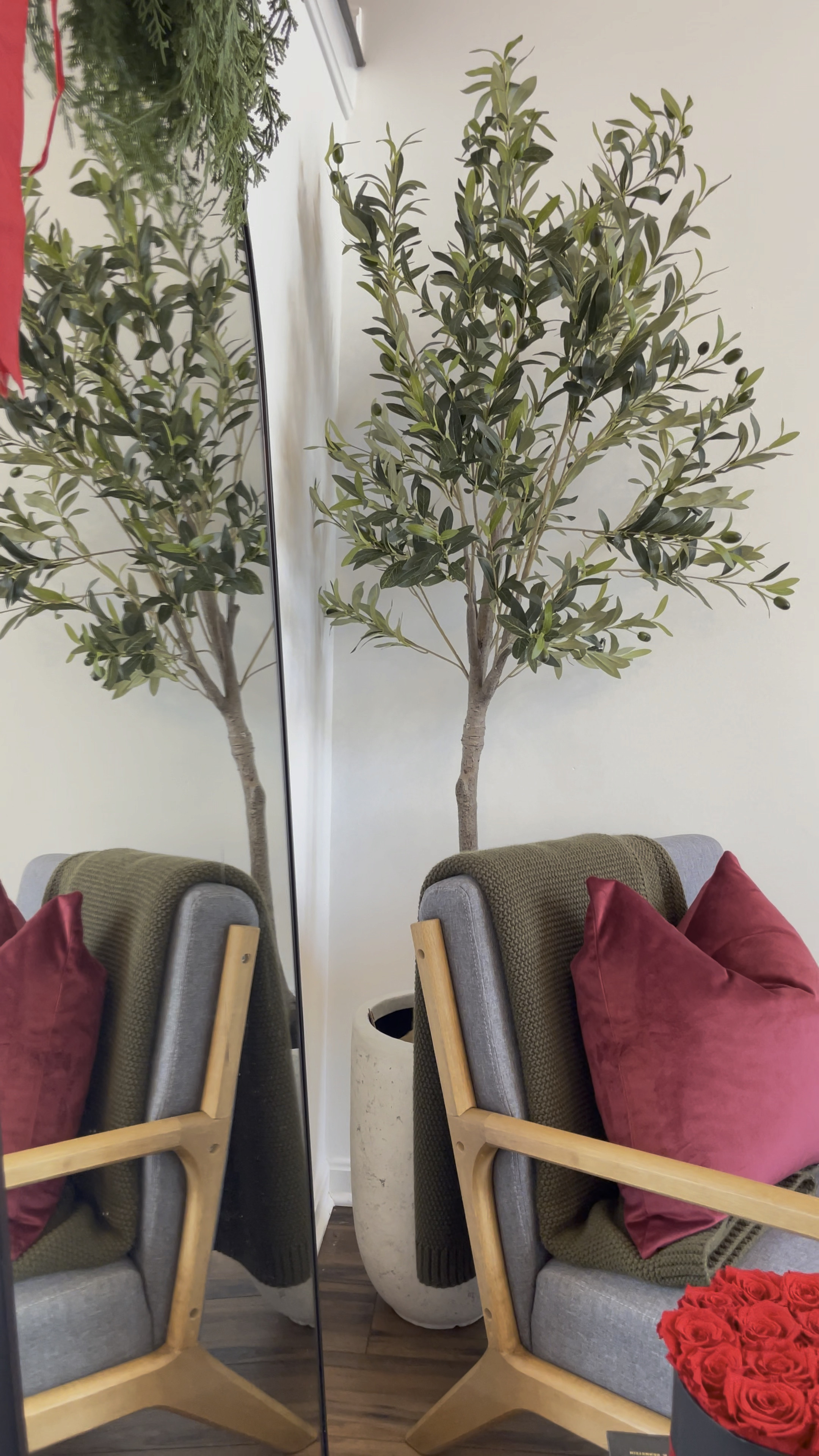 $60 olive tree ! So good!

#LTKsalealert #LTKhome #LTKfindsunder100