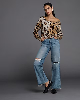Leopard Print V-Neck Sweater | Express