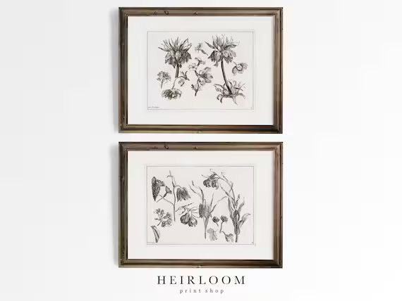 Botanical Prints  French Country ART PRINTS  Floral Etching - Etsy | Etsy (US)