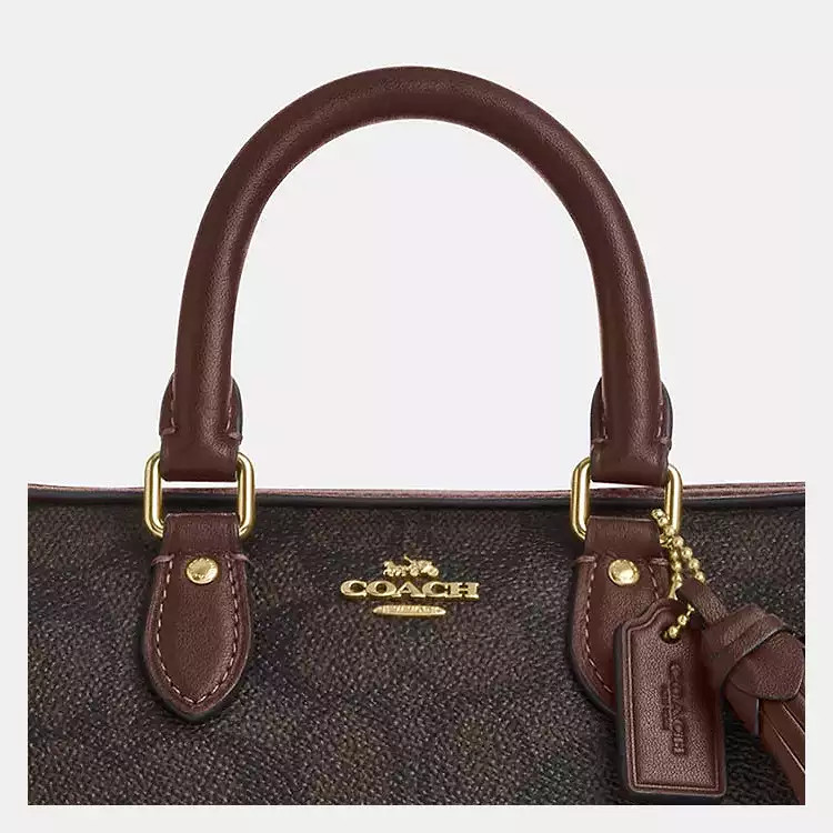 Mini Rowan Crossbody Bag | Coach Outlet US