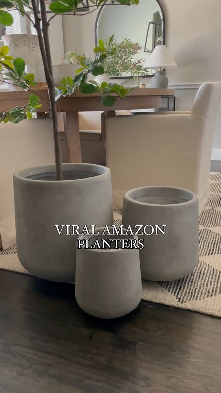 These Amazon indoor/outdoor planters are worth the hype! They’re currently on deal and I highly recommend them! 

Living room inspiration, home decor, our everyday home, console table, arch mirror, faux floral stems, Area rug, console table, wall art, swivel chair, side table, coffee table, coffee table decor, bedroom, dining room, kitchen,neutral decor, budget friendly, affordable home decor, home office, tv stand, sectional sofa, dining table, affordable home decor, floor mirror, budget friendly home decor, dresser, king bedding, oureverydayhome 

#LTKVideo #LTKHome #LTKSaleAlert