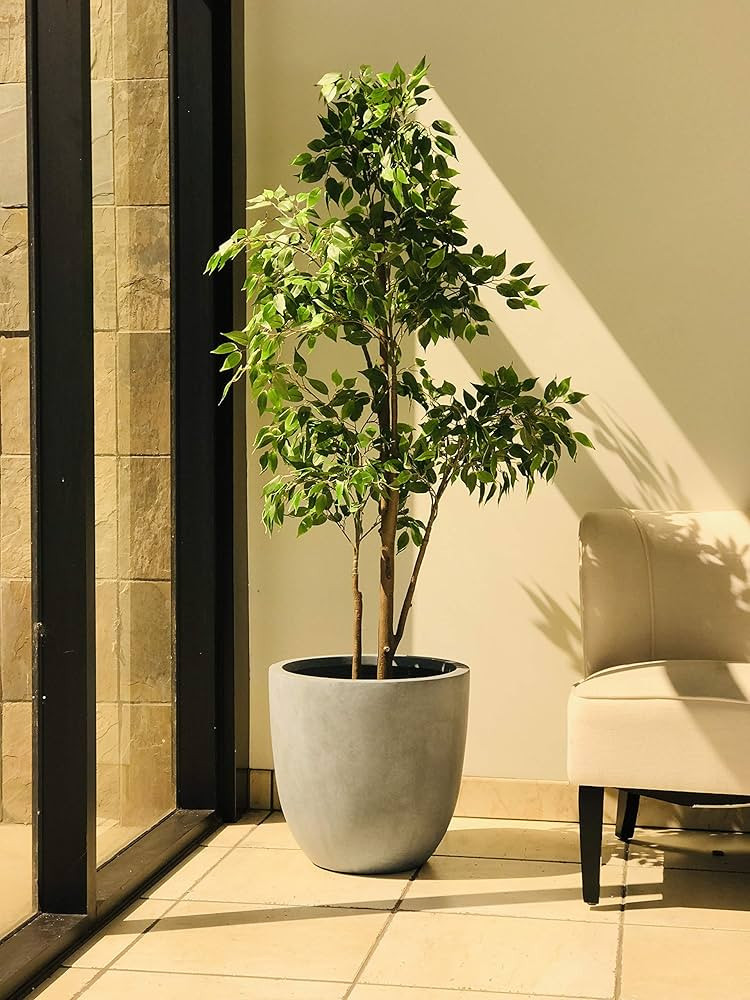 10" W Round Slate Gray Concrete/Fiberglass Indoor Outdoor Elegant Planter | Amazon (US)