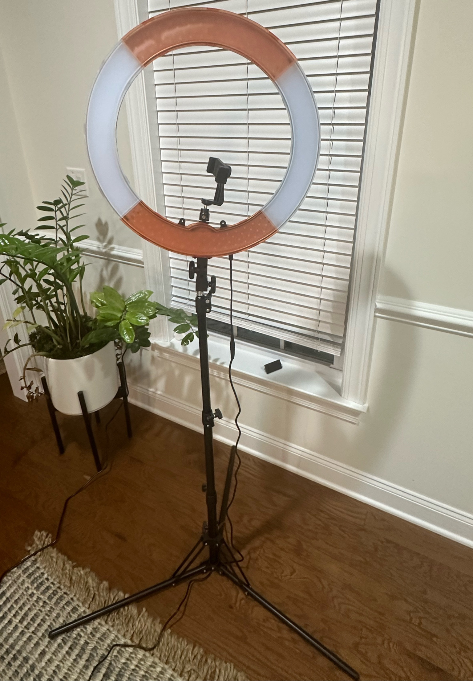My ring light ✨✨

#LTKbeauty #LTKstyletip #LTKVideo